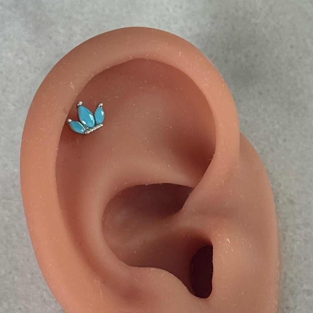 Silver Turquoise Crystal Crown Cartilage Earring 

Brand New

Stainless Steel